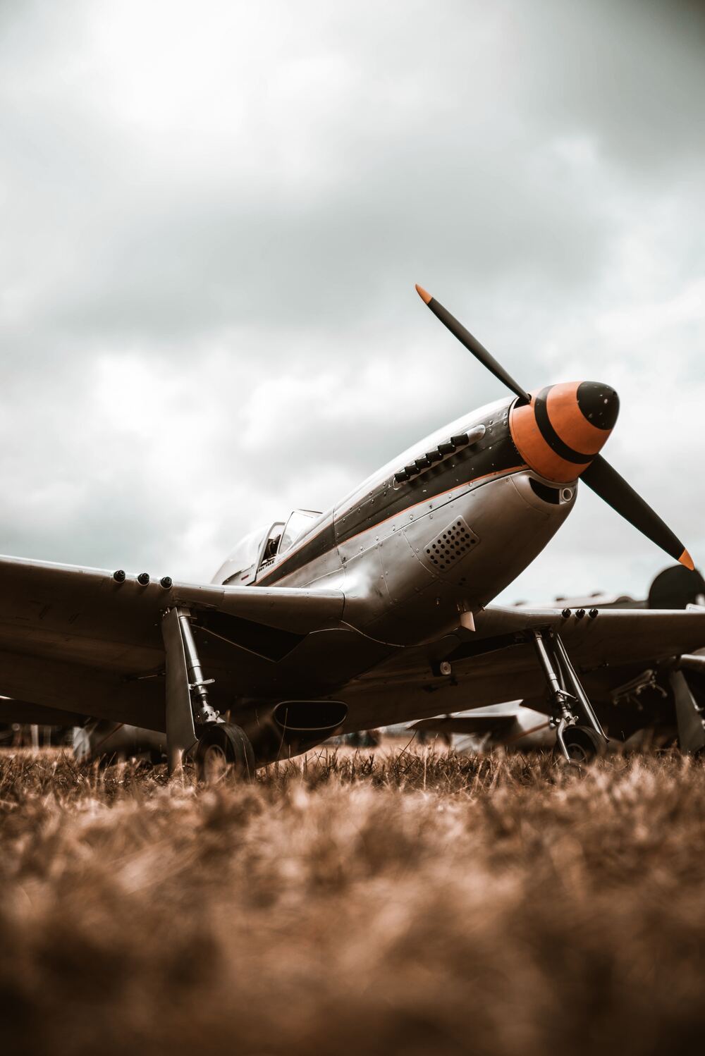 P 51 Mustang Wallpaper Download P 51 Mustang, Fighter Jet, Warbird.