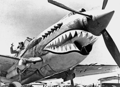 Flying Tigers: The Legendary Aviators of the Pacific Theater